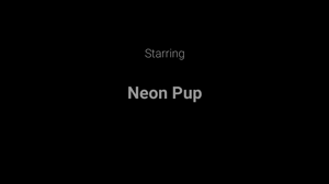 www.woofbound.com - Neon Jet Tub Bound thumbnail