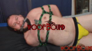 www.woofbound.com - Tackle Bear thumbnail