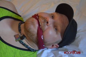 www.woofbound.com - Such A Rebel thumbnail