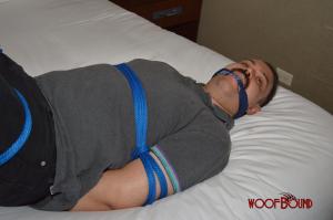 www.woofbound.com - Muscle Cub Blue thumbnail