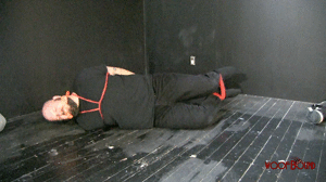 www.woofbound.com - Bear Toy Matthew thumbnail