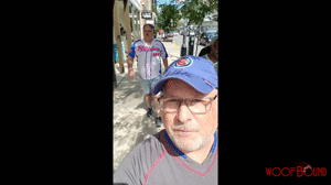 www.woofbound.com - Damn Cubs Fans thumbnail
