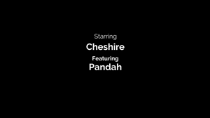 www.woofbound.com - Delivery Feud: Cheshire thumbnail