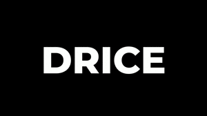 www.woofbound.com - Play Toy Drice thumbnail