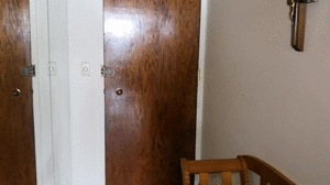 www.woofbound.com - Securing the Bear thumbnail