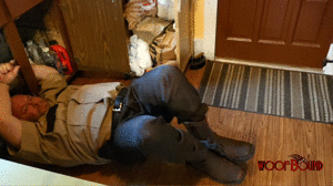 www.woofbound.com - Sheriff's Dilemma thumbnail