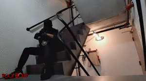 www.woofbound.com - Stairway Laughter thumbnail