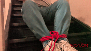 www.woofbound.com - Stairwell Troubles thumbnail