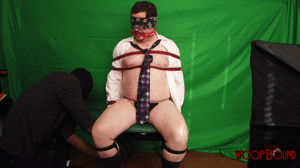 www.woofbound.com - Weather Man Troubles  thumbnail