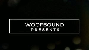 www.woofbound.com - Zerberus Play Toy thumbnail